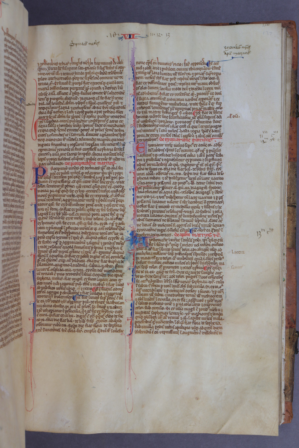 Folio 137 recto